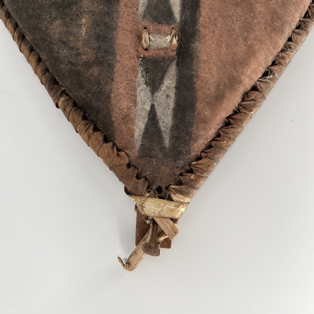 Ethnographic Shield