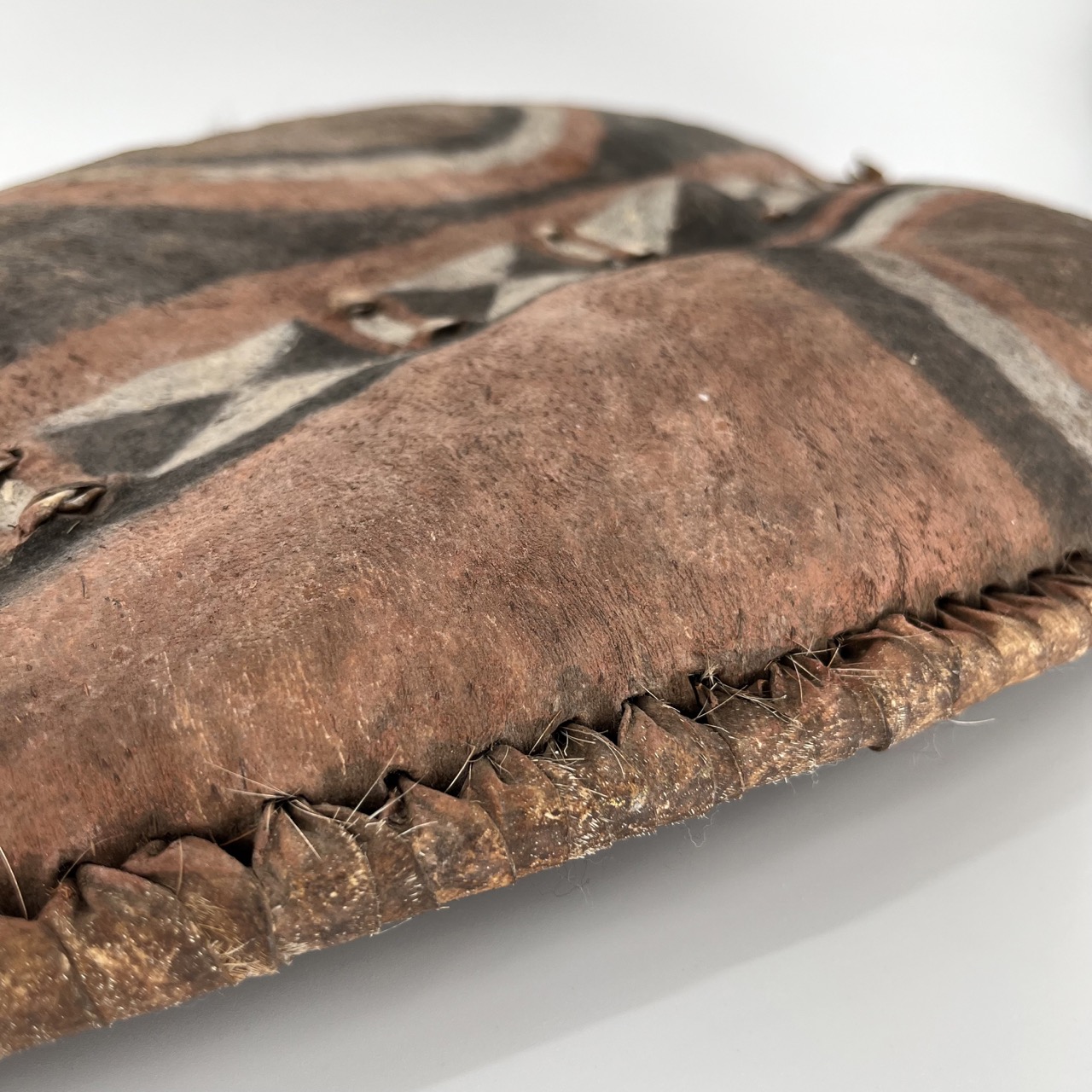 Ethnographic Shield