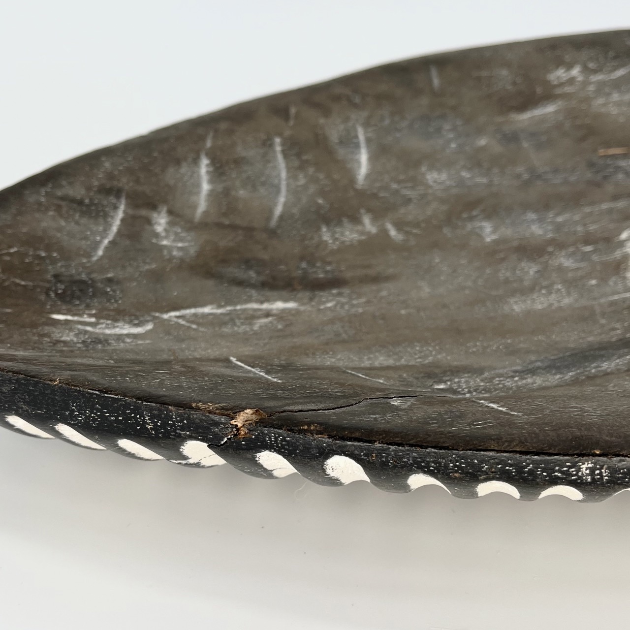 Ethnographic Shield