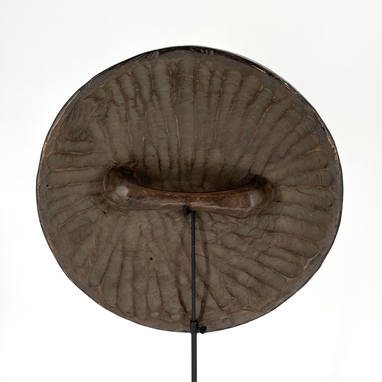 Ethnographic Shield