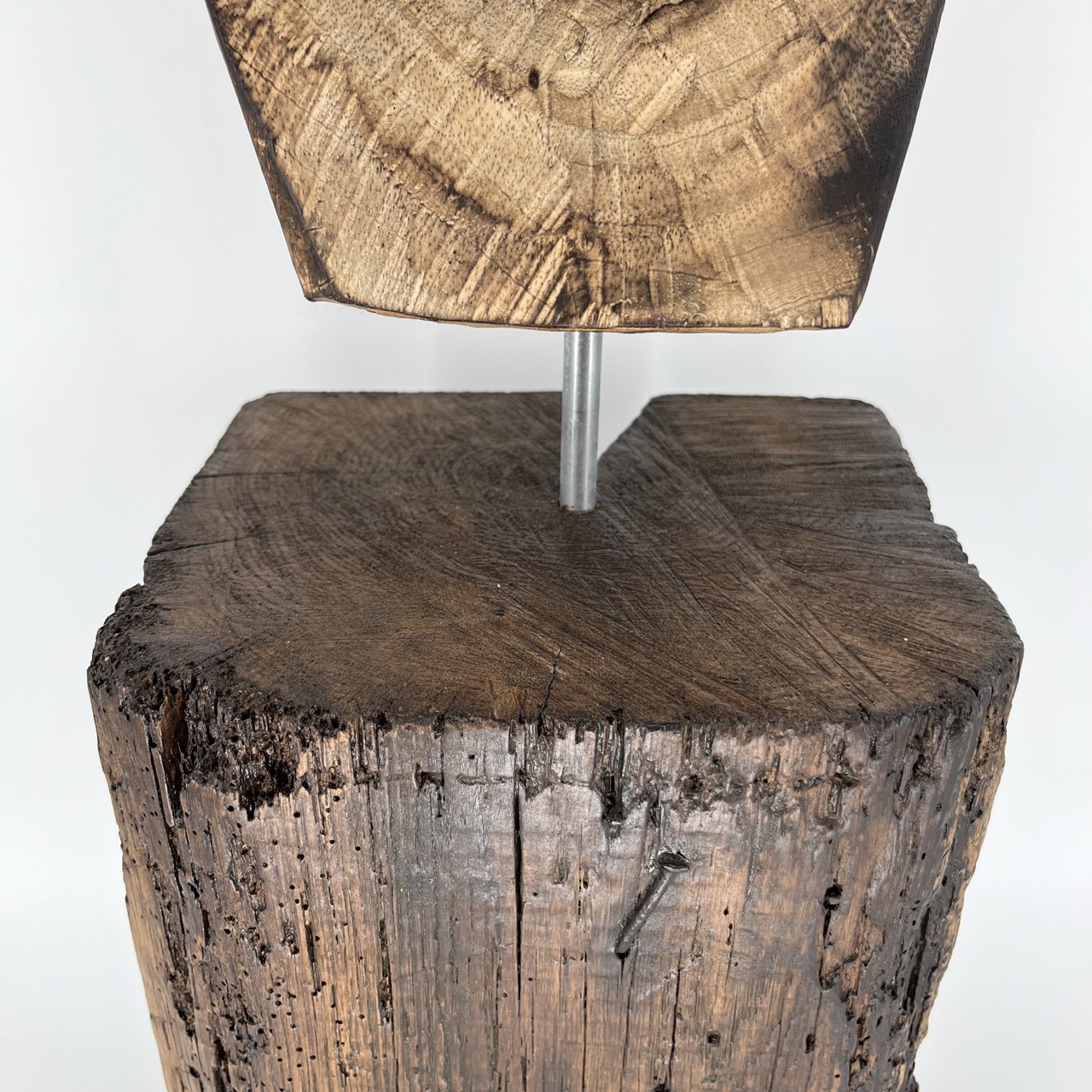 Wooden Buste