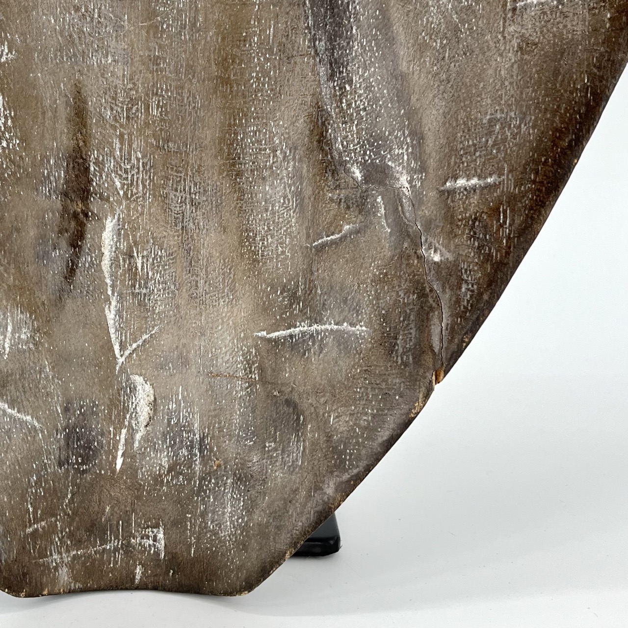 Ethnographic Shield