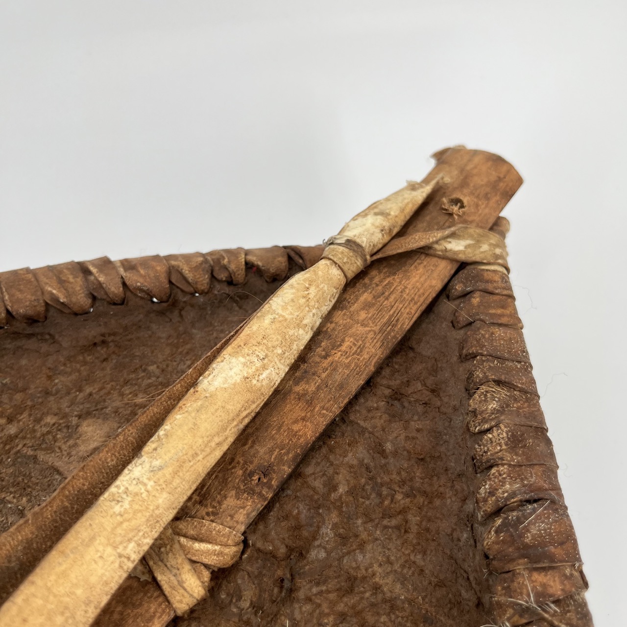 Ethnographic Shield